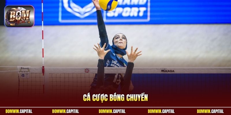 Cá Cược Bóng Chuyền - Hướng Dẫn Soi Kèo Đỉnh Cao 2026